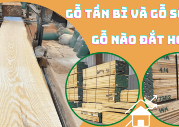 Gỗ tần bì và gỗ sồi loại gỗ nào đắt hơn?