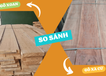 So sánh gỗ xà cừ và gỗ xoan