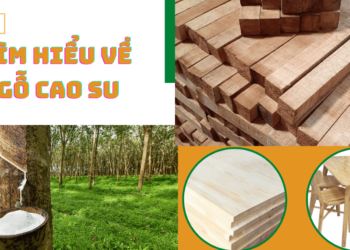 Tìm hiểu về gỗ cao su