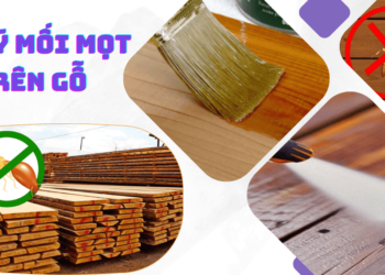 Cách trị mọt gỗ hiệu quả