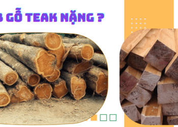 1m3 gỗ teak nặng bao nhiêu kg?