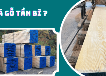 Giá gỗ tần bì (gỗ ash) hiện nay là bao nhiêu?