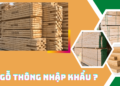 Giá gỗ thông nhập khẩu hiện nay là bao nhiêu?