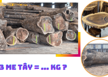 Gỗ me tây nặng bao nhiêu kg một mét khối?
