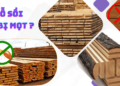 Gỗ sồi có bị mọt không?