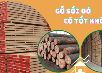 Gỗ sồi đỏ (red oak) có tốt không?