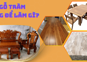 Gỗ tràm dùng để làm gì?