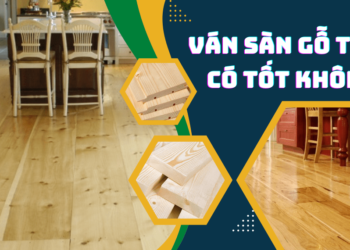 Có nên làm ván sàn bằng gỗ thông nhập khẩu?