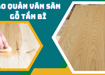 Cách bảo quản ván sàn bằng gỗ tần bì (gỗ ash)