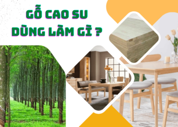 Gỗ cao su dùng để làm gì?