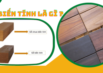 Gỗ biến tính là gì ?