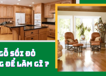 Ứng dụng của gỗ sồi đỏ ( gỗ red oak )