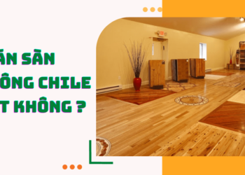 Có nên lựa chọn gỗ thông Chile để làm ván sàn?