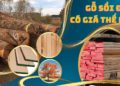 Giá gỗ sồi đỏ bao nhiêu tiền 1m3 ?