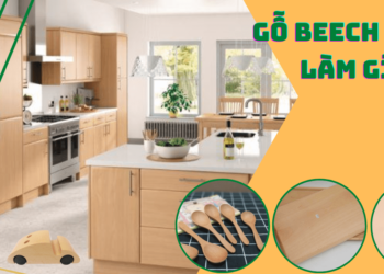 Gỗ Beech dùng để làm gì?