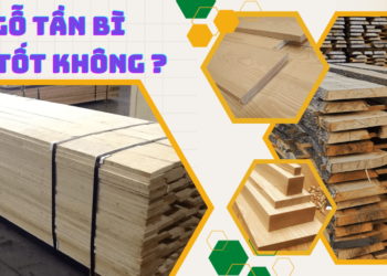 Gỗ tần bì (gỗ ash) có tốt không?