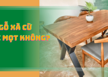 Gỗ xà cừ có bị mối mọt không?