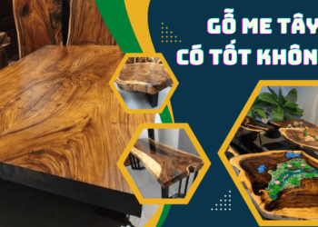 Gỗ me tây có tốt không?