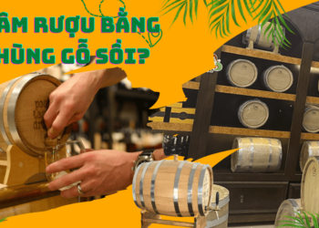 Tại sao ngâm rượu bằng thùng gỗ sồi?
