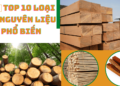 Top 10 loại gỗ nguyên liệu phổ biến hiện nay