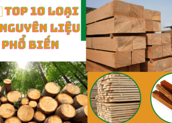 Top 10 loại gỗ nguyên liệu phổ biến hiện nay
