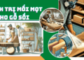 4 cách chống mối mọt cho gỗ sồi