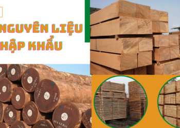 Gỗ nguyên liệu nhập khẩu