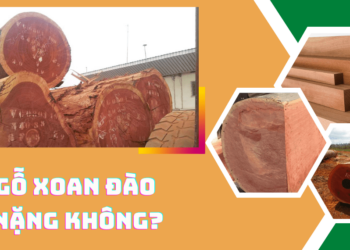 1m³ gỗ xoan đào nặng bao nhiêu kg?