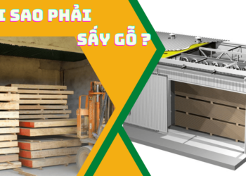 Tại sao phải sấy gỗ ?