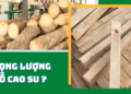 1m3 gỗ cao su nặng bao nhiêu kg?