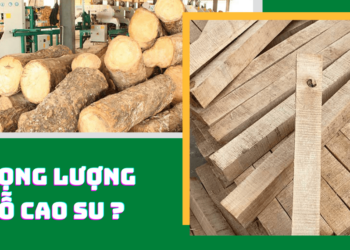 1m3 gỗ cao su nặng bao nhiêu kg?