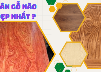 Gỗ nào có vân đẹp nhất ?