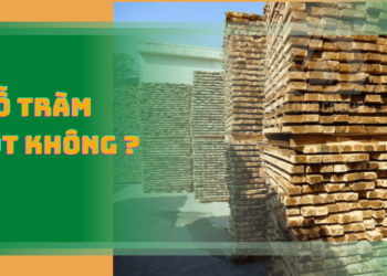 Gỗ tràm có tốt không?