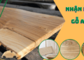 Cách nhận biết gỗ tần bì (gỗ ash)