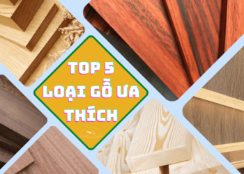 Top 5 loại gỗ được ưa chuộng nhất hiện nay