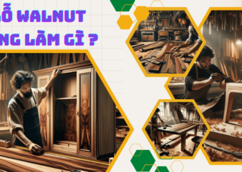 Gỗ óc chó (gỗ Walnut) dùng để làm gì?